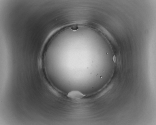 X0000113990924200910091335