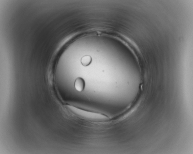 X0000113990925200910091335