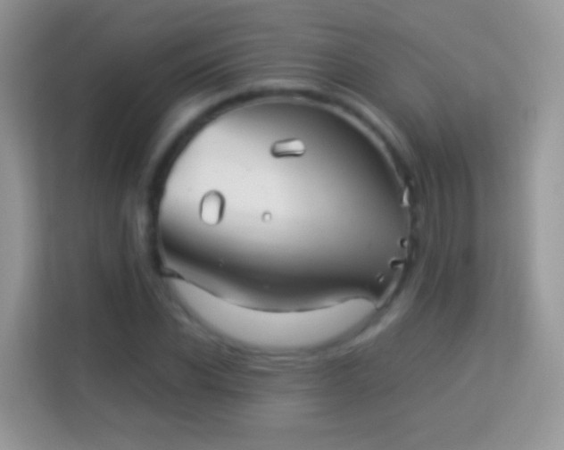 X0000113990926200910091335