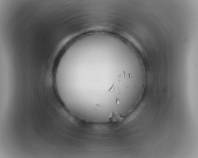 X0000113990927200910091335