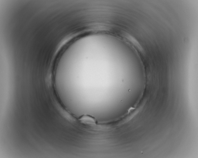 X0000113990928200910091335