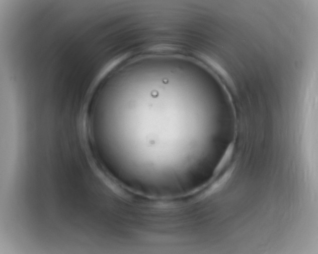 X0000113990933200910091335