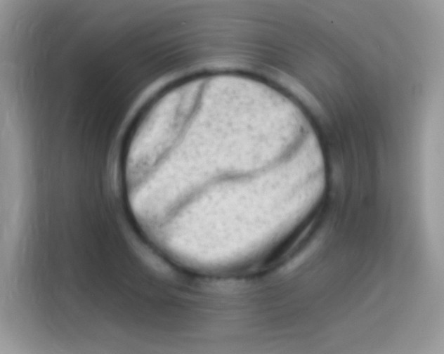 X0000113990934200910091335