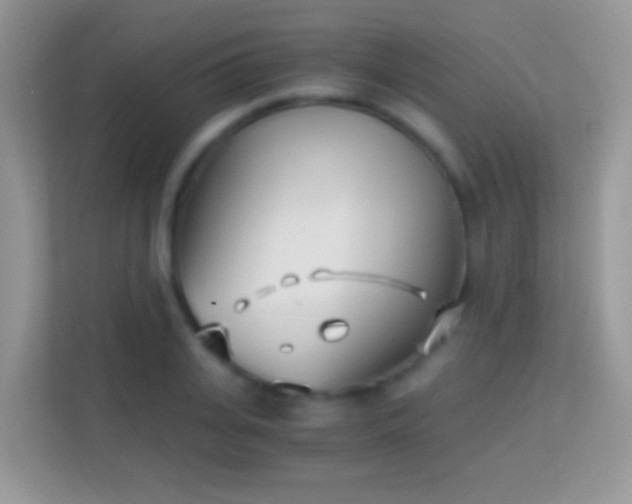 X0000113990935200910091335