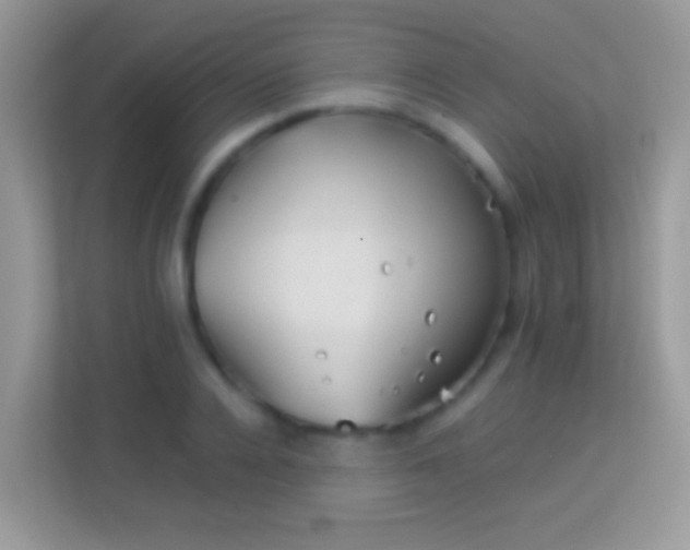 X0000113990936200910091335