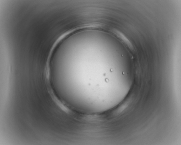 X0000113990940200910091335