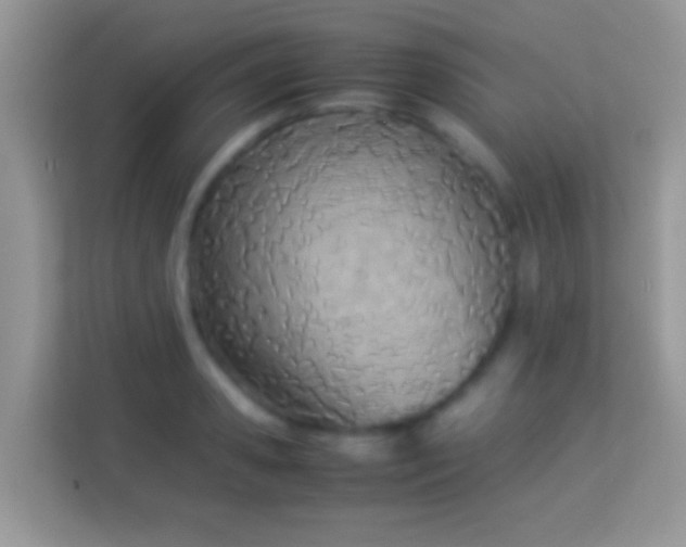 X0000113990941200910091335