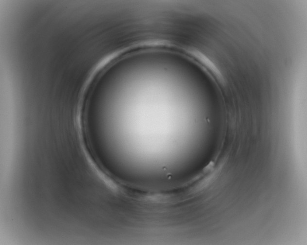 X0000113990943200910091335