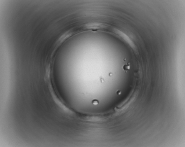 X0000113990946200910091335