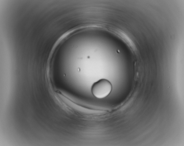 X0000113990948200910091335