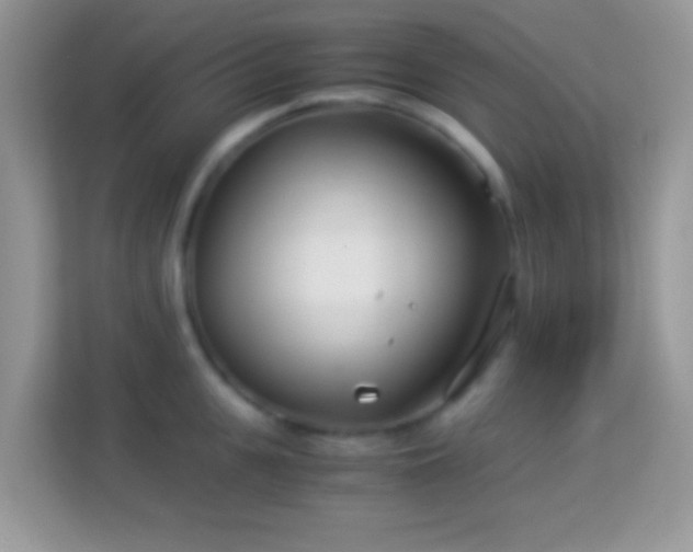 X0000113990951200910091335