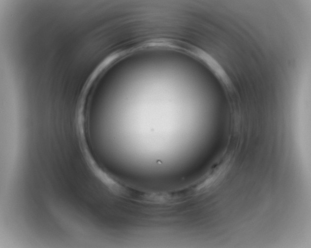 X0000113990955200910091335