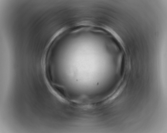 X0000113990957200910091335