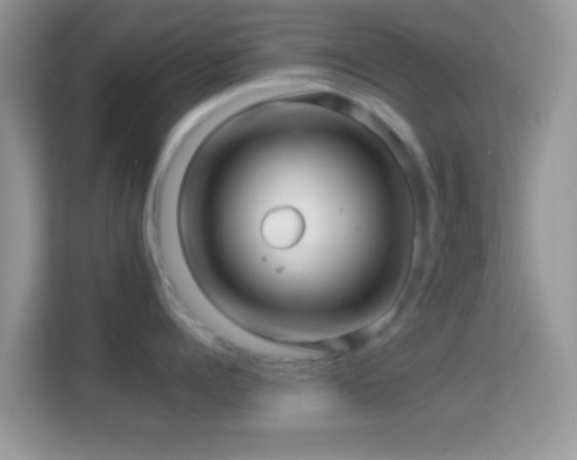 X0000113990960200910091335