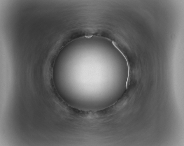 X0000113990961200910091335