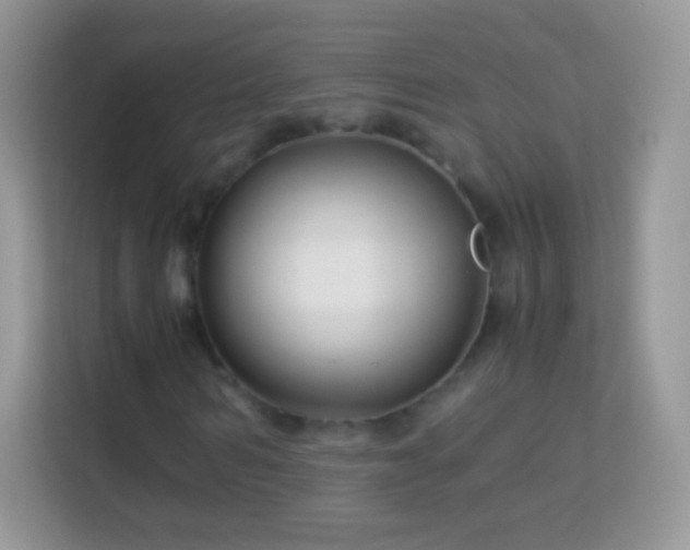 X0000113990962200910091335