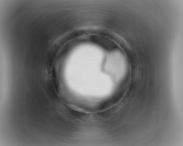 X0000113990966200910091335