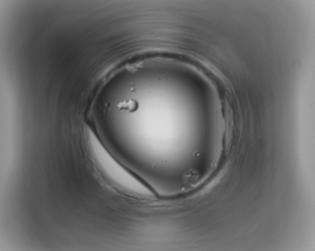 X0000113990969200910091335