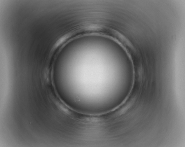 X0000113990970200910091335