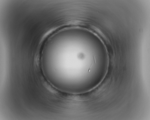 X0000113990971200910091335