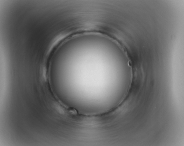 X0000113990973200910091335