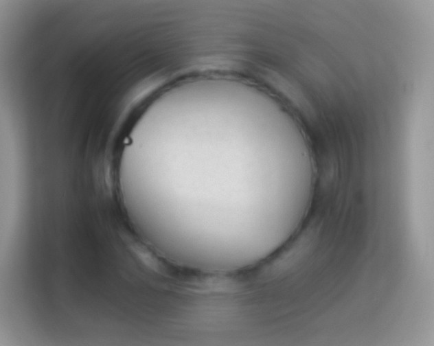 X0000113990974200910091335