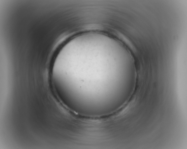 X0000113990975200910091335