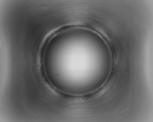 X0000113990979200910091335