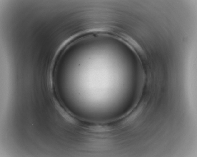 X0000113990980200910091335