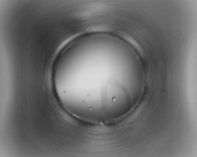 X0000113990983200910091335