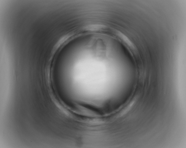 X0000113990986200910091335