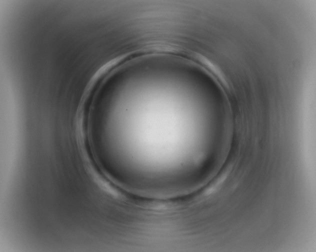 X0000113990987200910091335