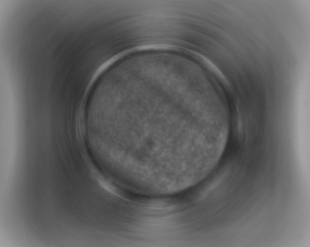 X0000113990988200910091335