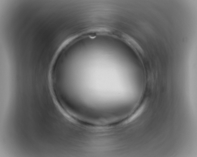 X0000113990989200910091334