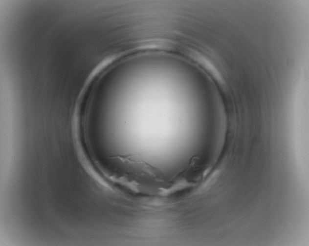 X0000113990991200910091334