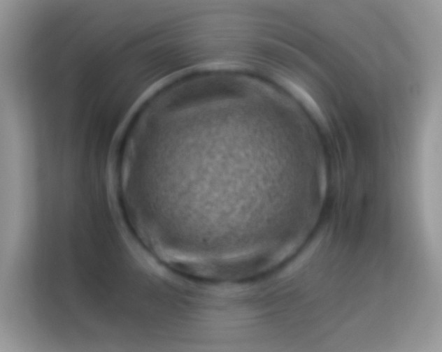 X0000113990992200910091334