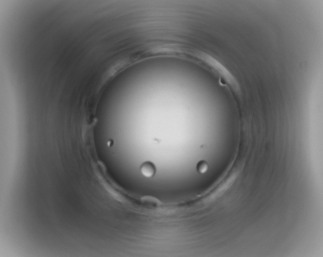 X0000113990993200910091334