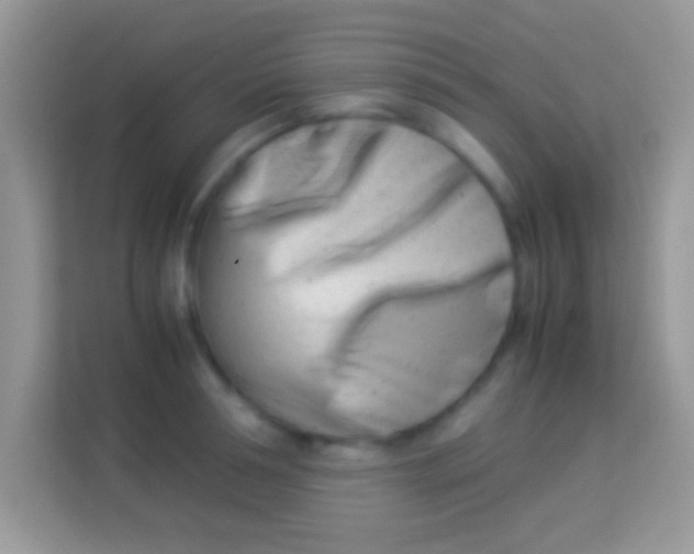 X0000113990994200910091334