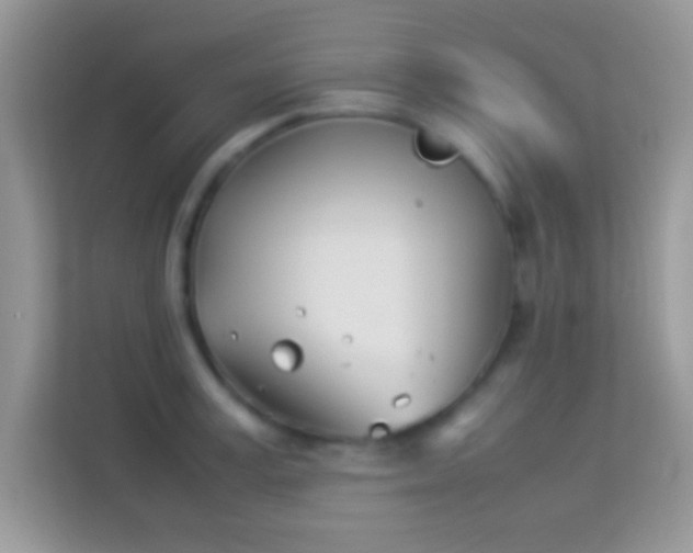 X0000113990995200910091334