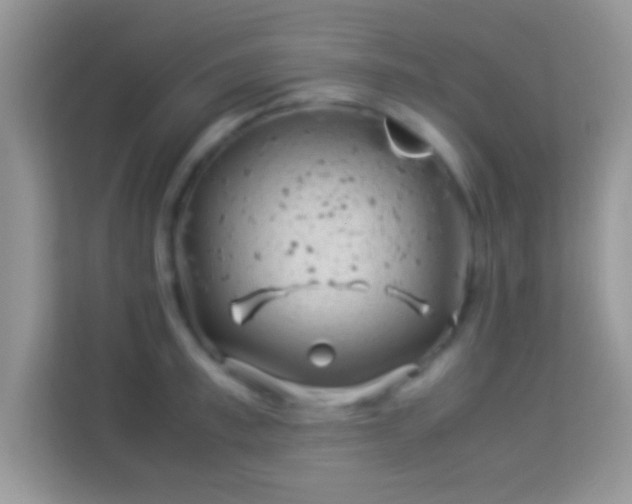 X0000113990997200910091334