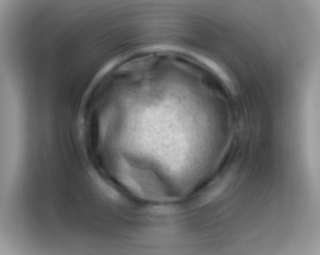 X0000113990998200910091334