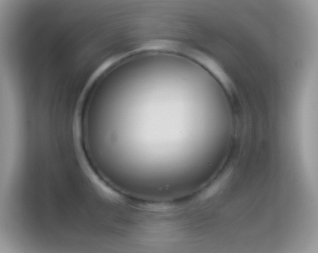 X0000113990999200910091334