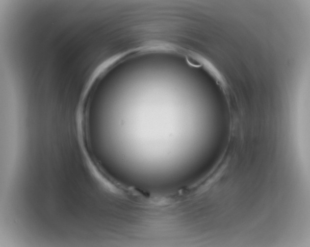 X0000113991003200910091334