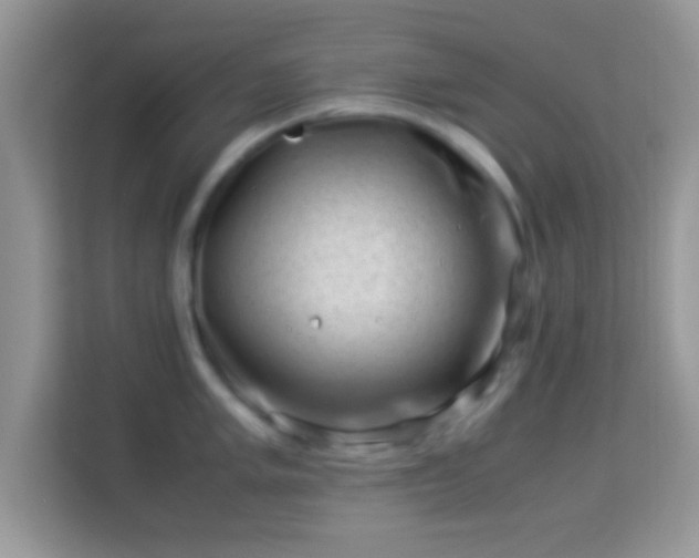 X0000113991005200910091334