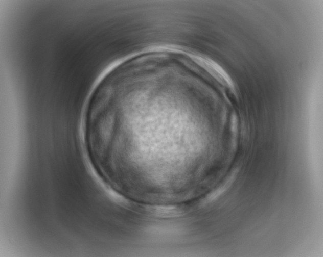 X0000113991007200910091334