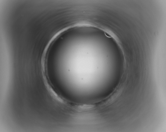 X0000113991008200910091334