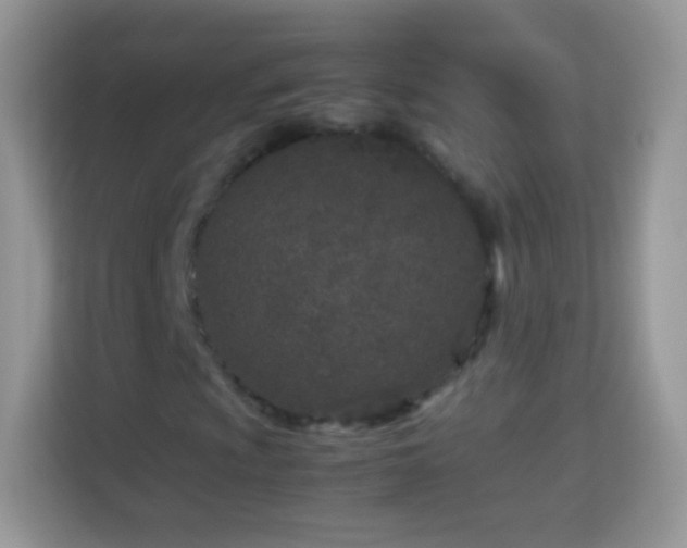 X0000113991009200910091334