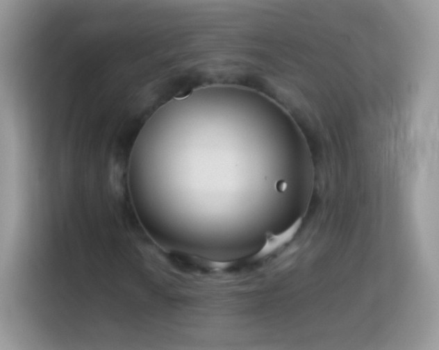 X0000113991010200910091334