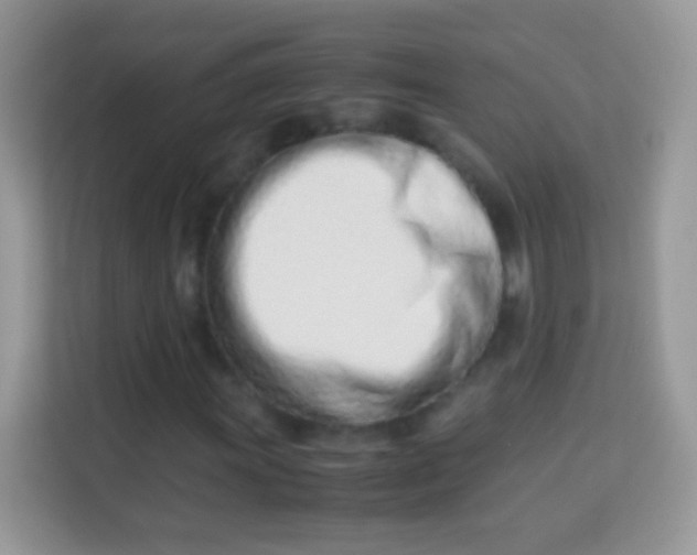 X0000113991011200910091334