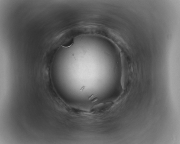 X0000113991013200910091334